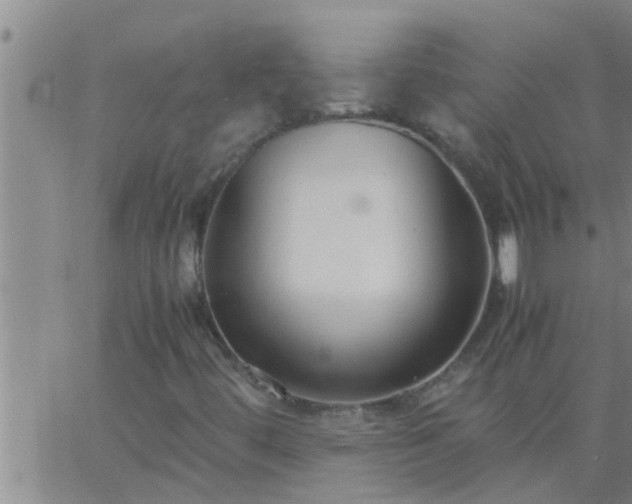 X0000063521444200601271824