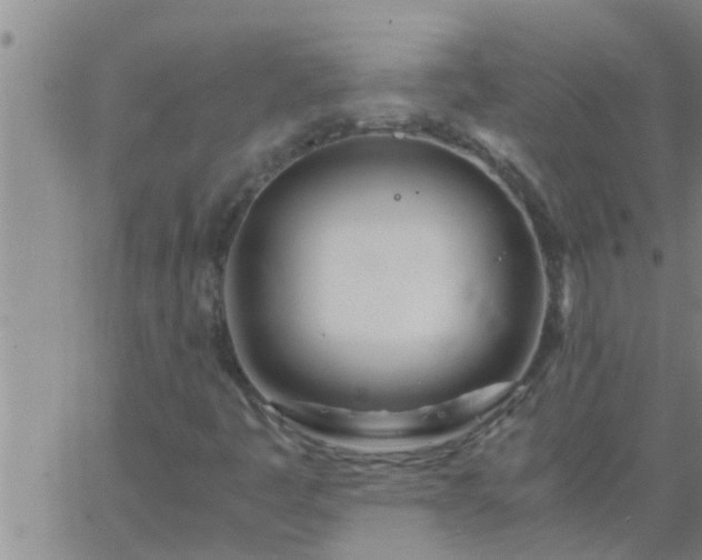 X0000063521445200601271824