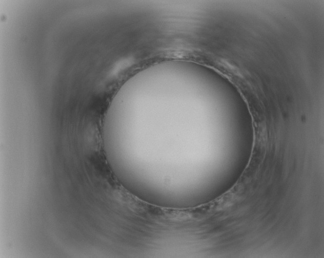 X0000063521446200601271824