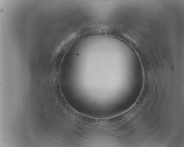 X0000063521447200601271824