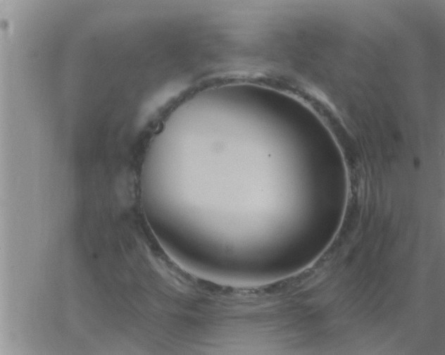 X0000063521448200601271824