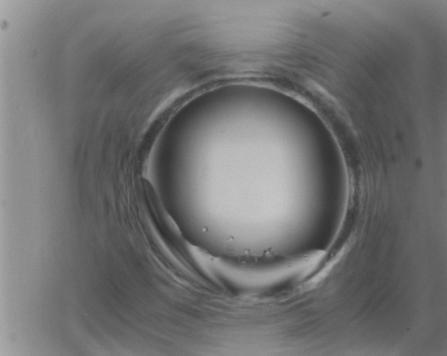 X0000063521449200601271824