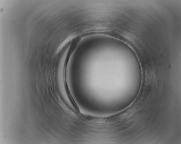 X0000063521450200601271824