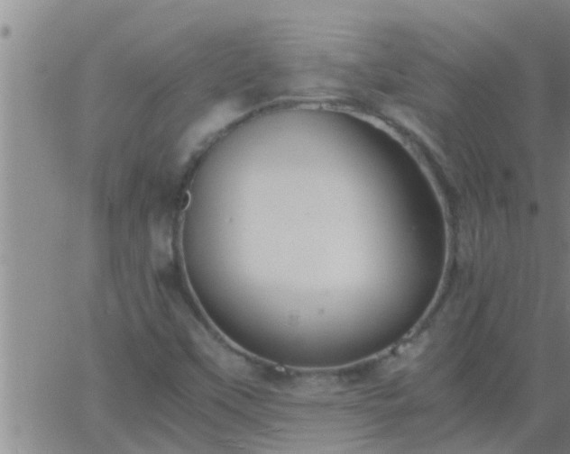 X0000063521451200601271824