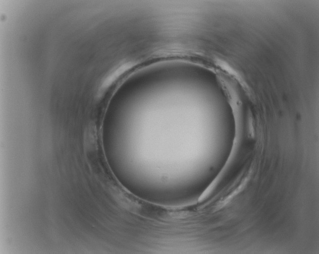 X0000063521453200601271824