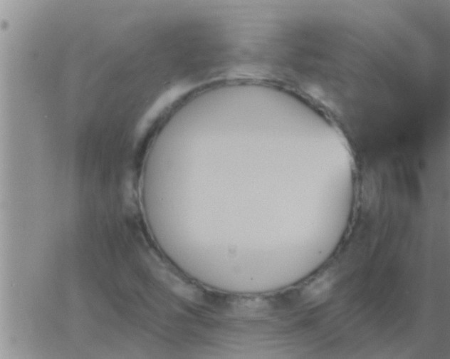 X0000063521454200601271824