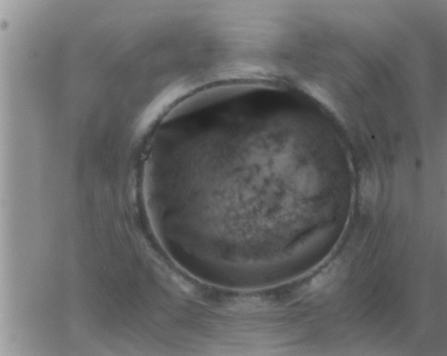 X0000063521455200601271824