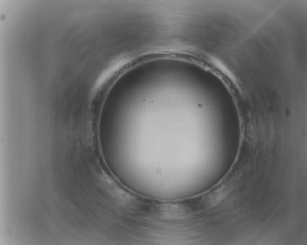 X0000063521456200601271824