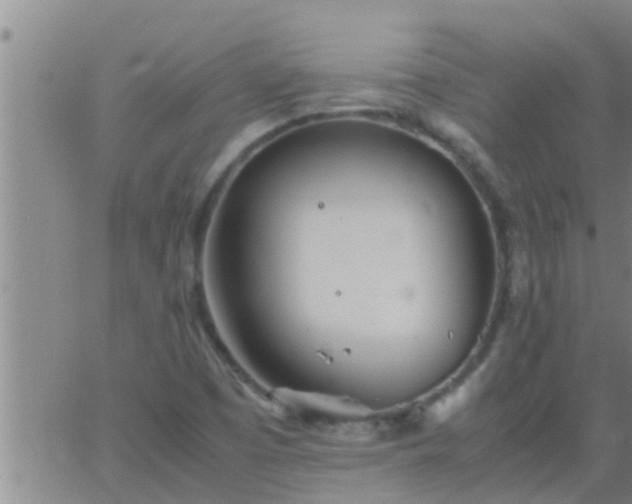 X0000063521457200601271824