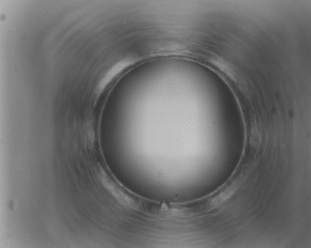 X0000063521458200601271824