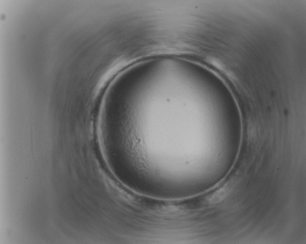 X0000063521459200601271824