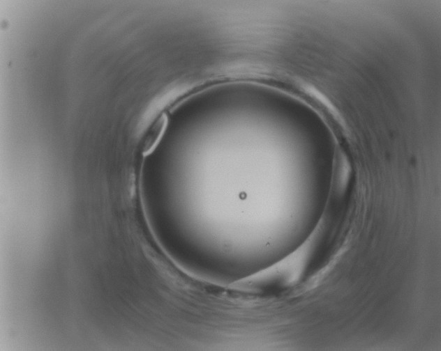 X0000063521461200601271823