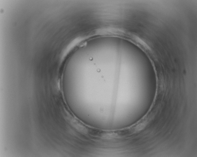 X0000063521462200601271823