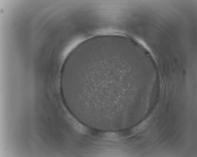 X0000063521463200601271823