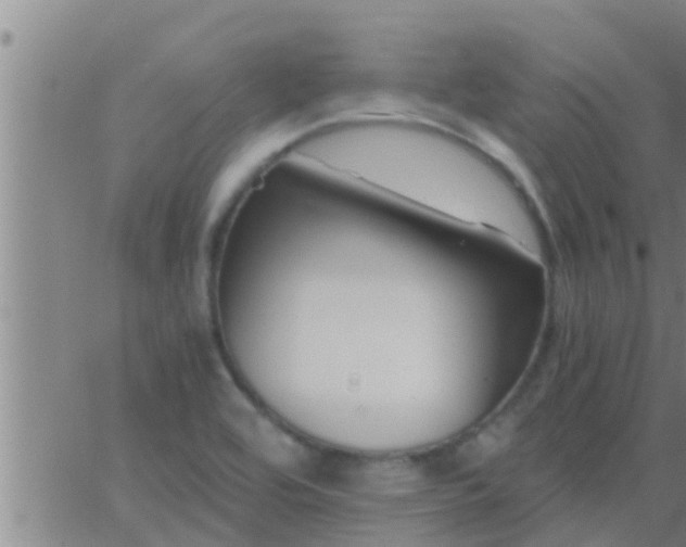 X0000063521464200601271823