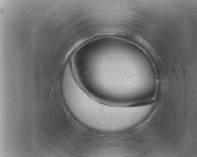 X0000063521465200601271823