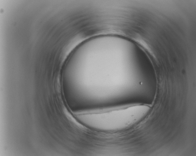 X0000063521468200601271823