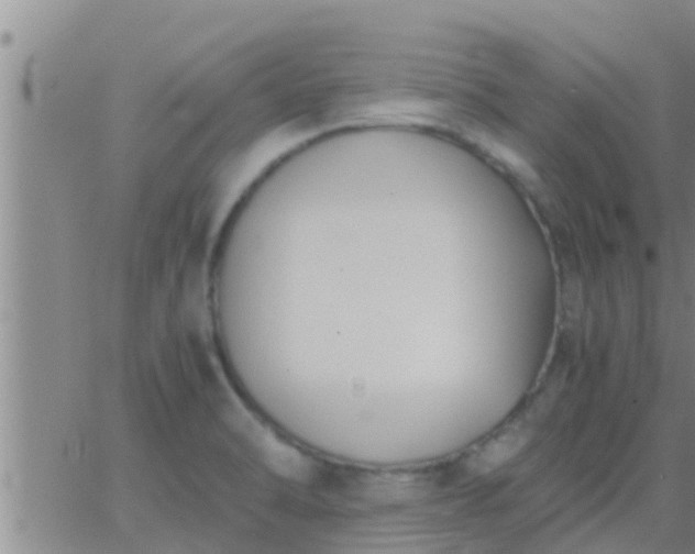 X0000063521470200601271823