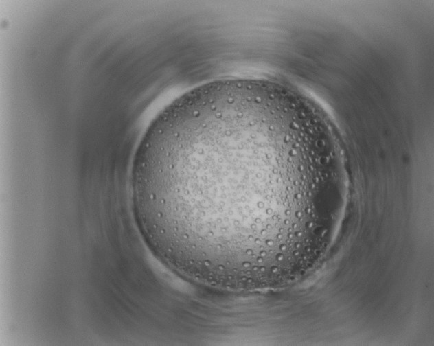 X0000063521471200601271823