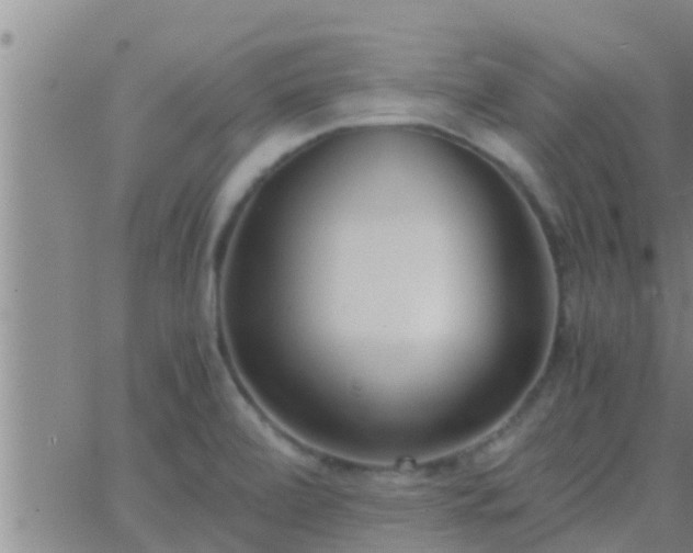 X0000063521472200601271823