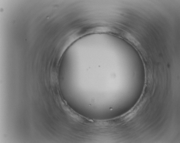 X0000063521473200601271823