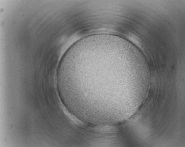 X0000063521474200601271823