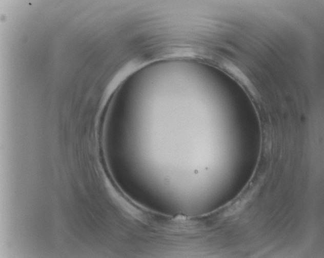 X0000063521475200601271823