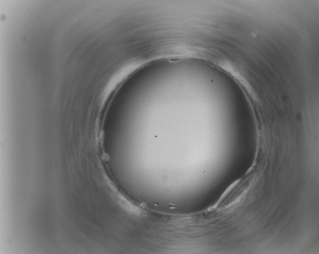 X0000063521477200601271823