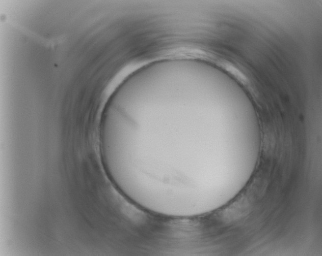 X0000063521478200601271823