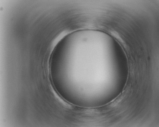 X0000063521479200601271823