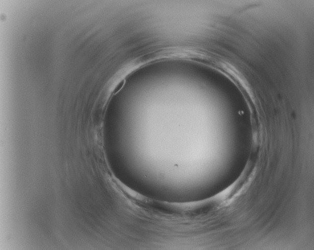 X0000063521481200601271823