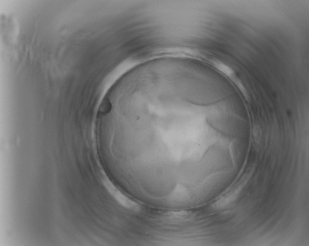 X0000063521482200601271823