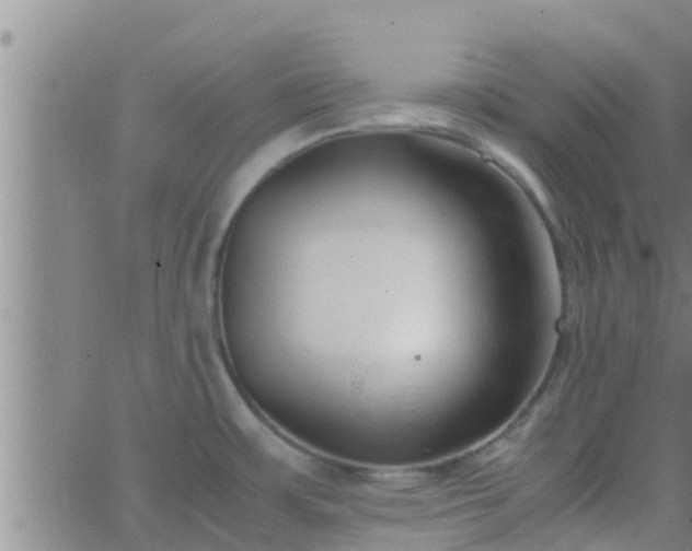 X0000063521483200601271823