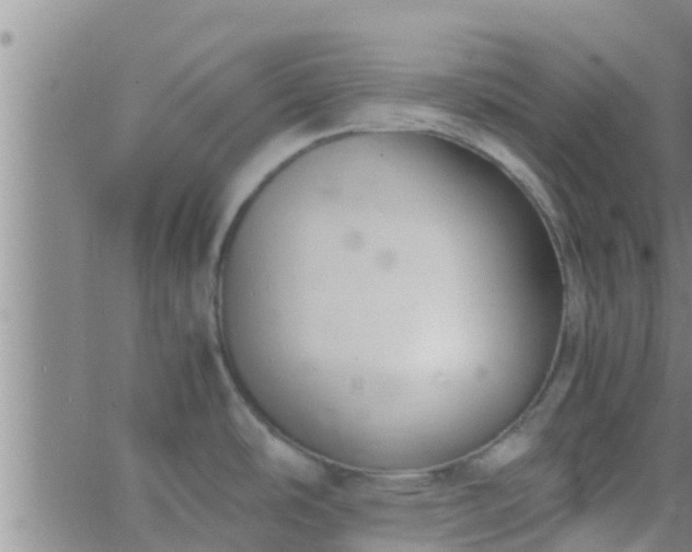 X0000063521486200601271823