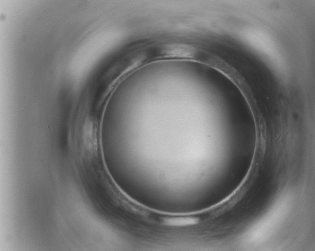 X0000063521487200601271823