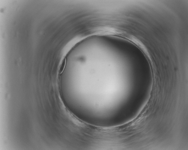 X0000063521488200601271823