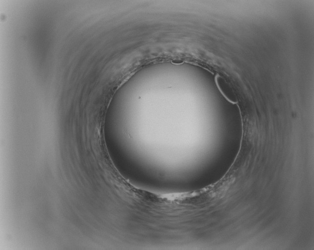 X0000063521489200601271822