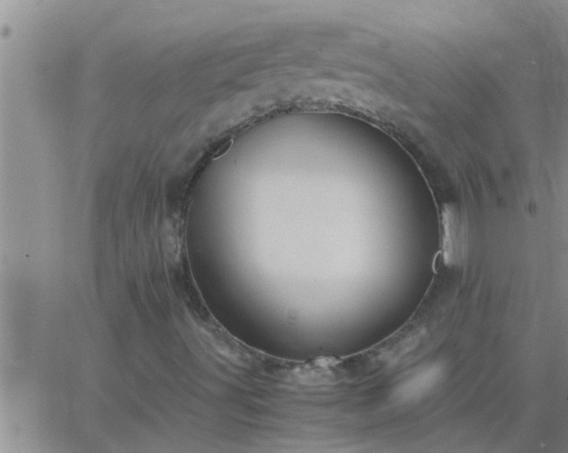 X0000063521491200601271822