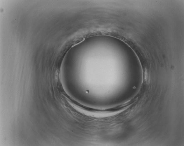 X0000063521492200601271822