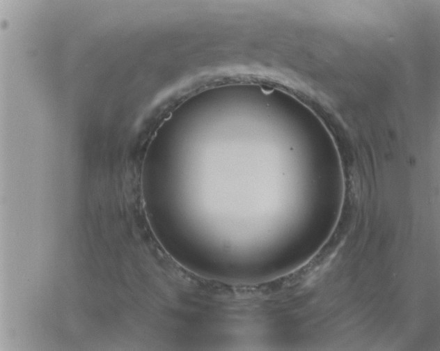 X0000063521494200601271822