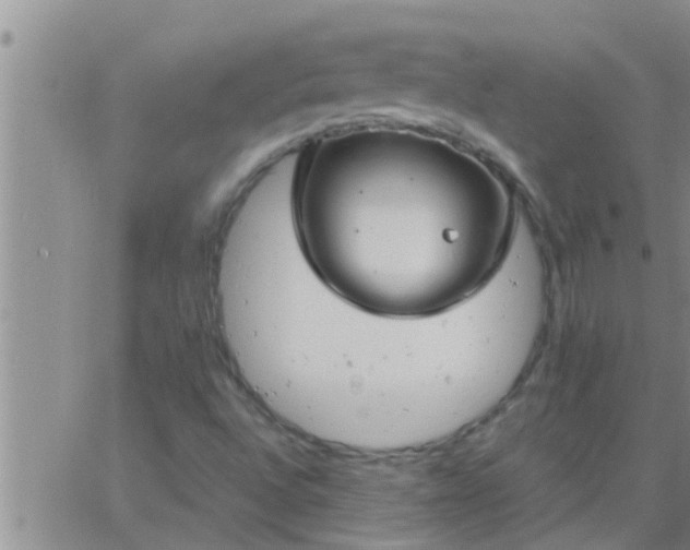 X0000063521496200601271822