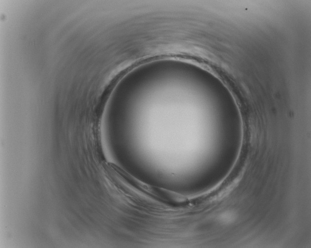 X0000063521497200601271822