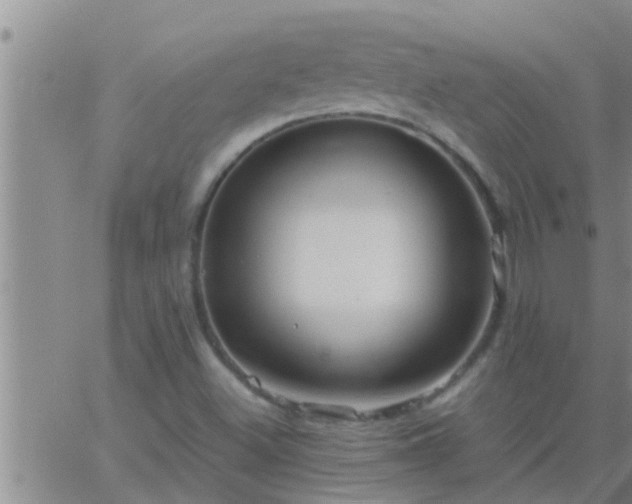 X0000063521500200601271822