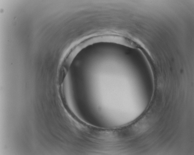 X0000063521508200601271823