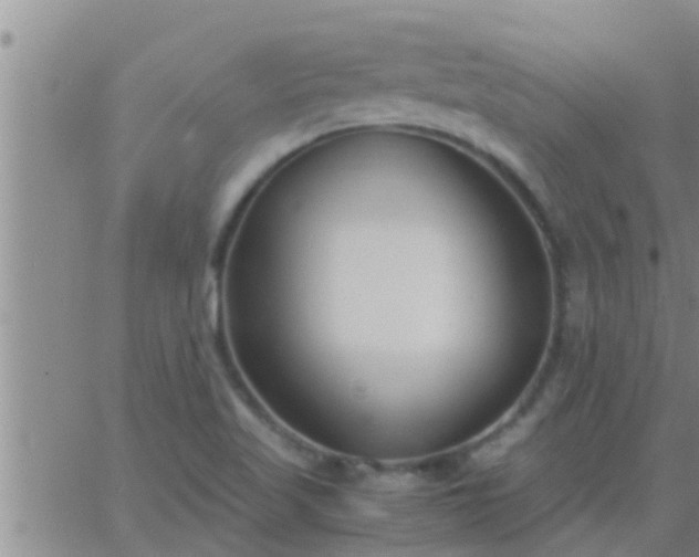 X0000063521509200601271823