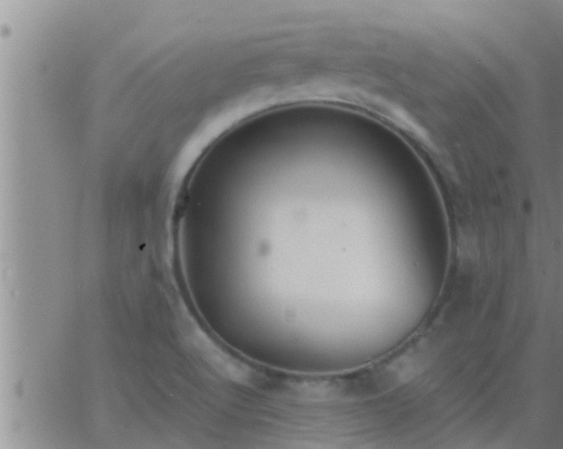 X0000063521512200601271823