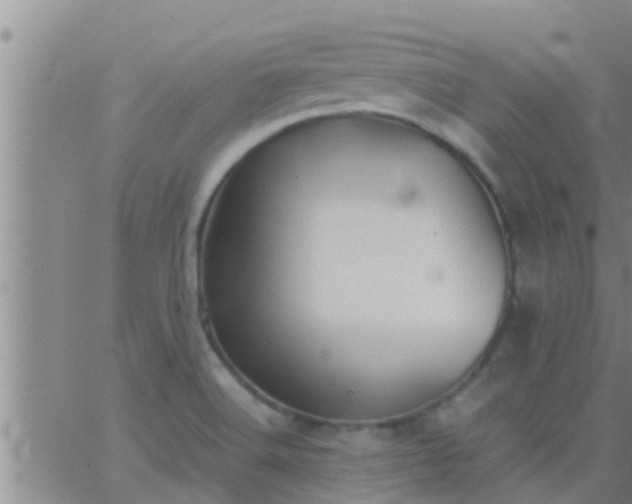 X0000063521516200601271823