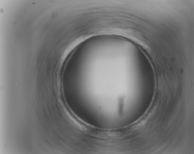 X0000063521517200601271823