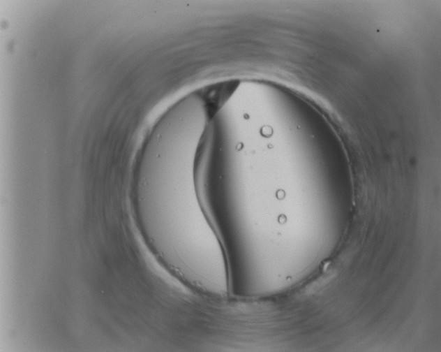 X0000063521518200601271823