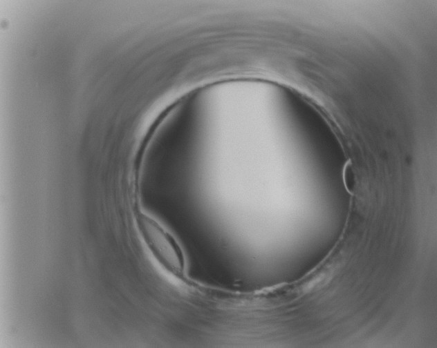 X0000063521519200601271823